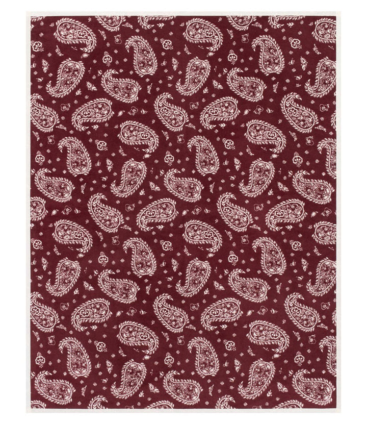 Palmer Paisley Blanket: Original